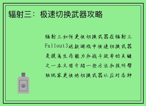 辐射三：极速切换武器攻略
